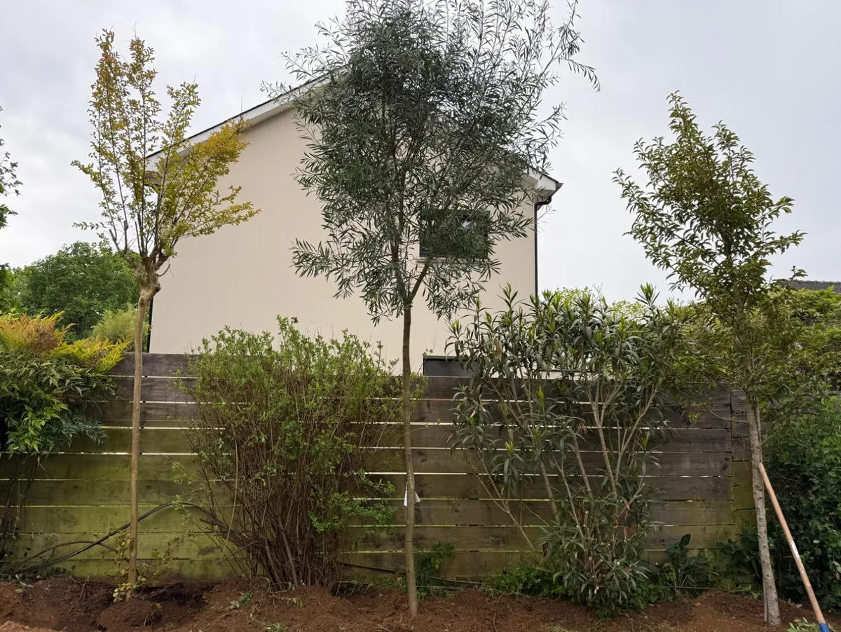 Remise en état de jardin et nettoyage complet — MFB Paysage Nantes